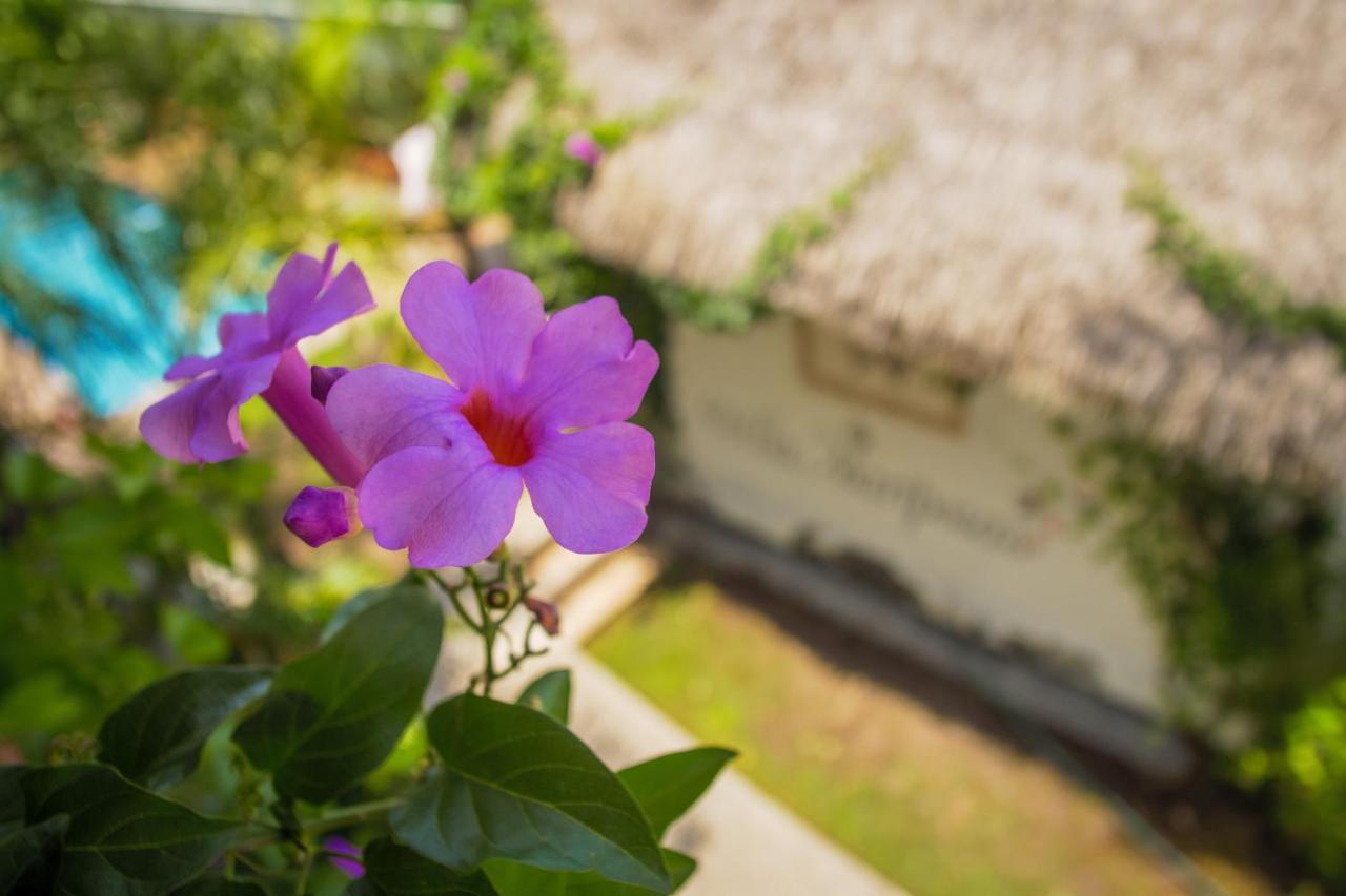Hotel Villas Mariposas 阿特利斯科 外观 照片