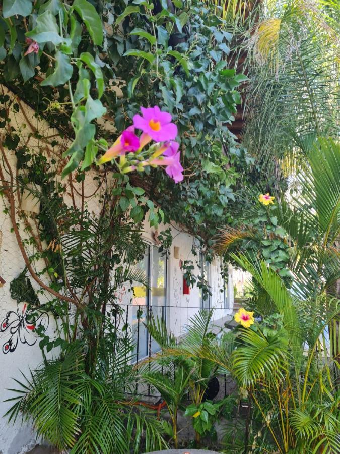 Hotel Villas Mariposas 阿特利斯科 外观 照片