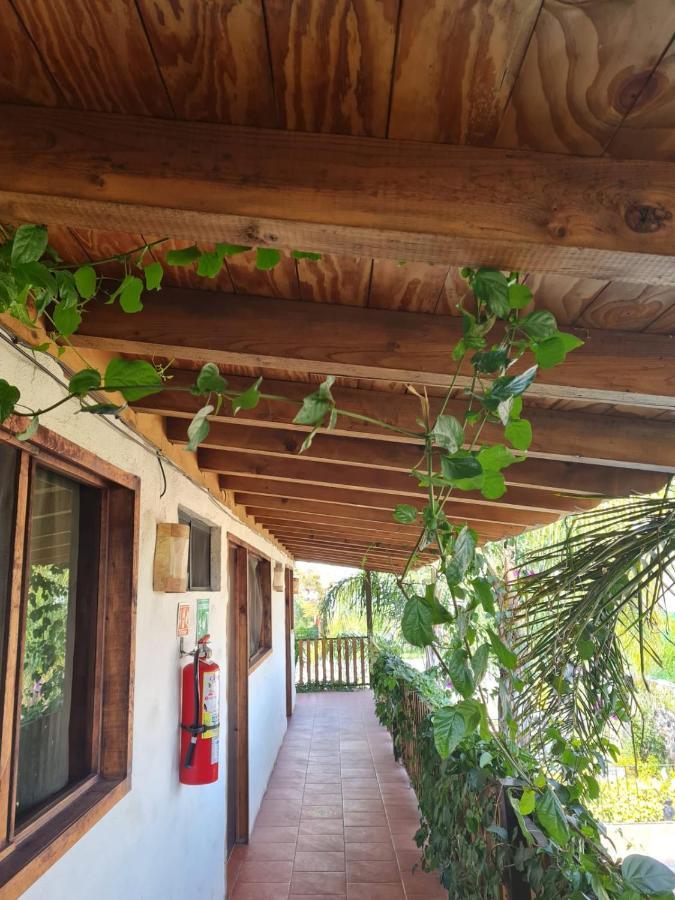Hotel Villas Mariposas 阿特利斯科 外观 照片