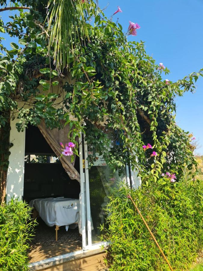 Hotel Villas Mariposas 阿特利斯科 外观 照片