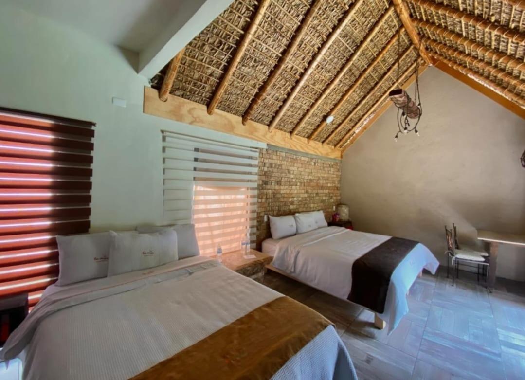 Hotel Villas Mariposas 阿特利斯科 外观 照片
