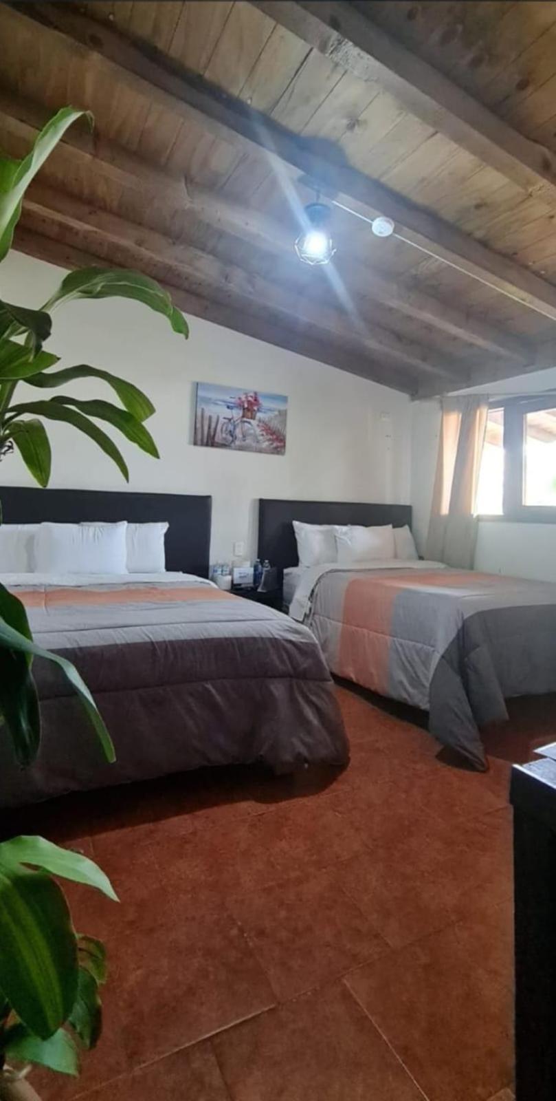 Hotel Villas Mariposas 阿特利斯科 外观 照片